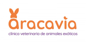 Vet-Web