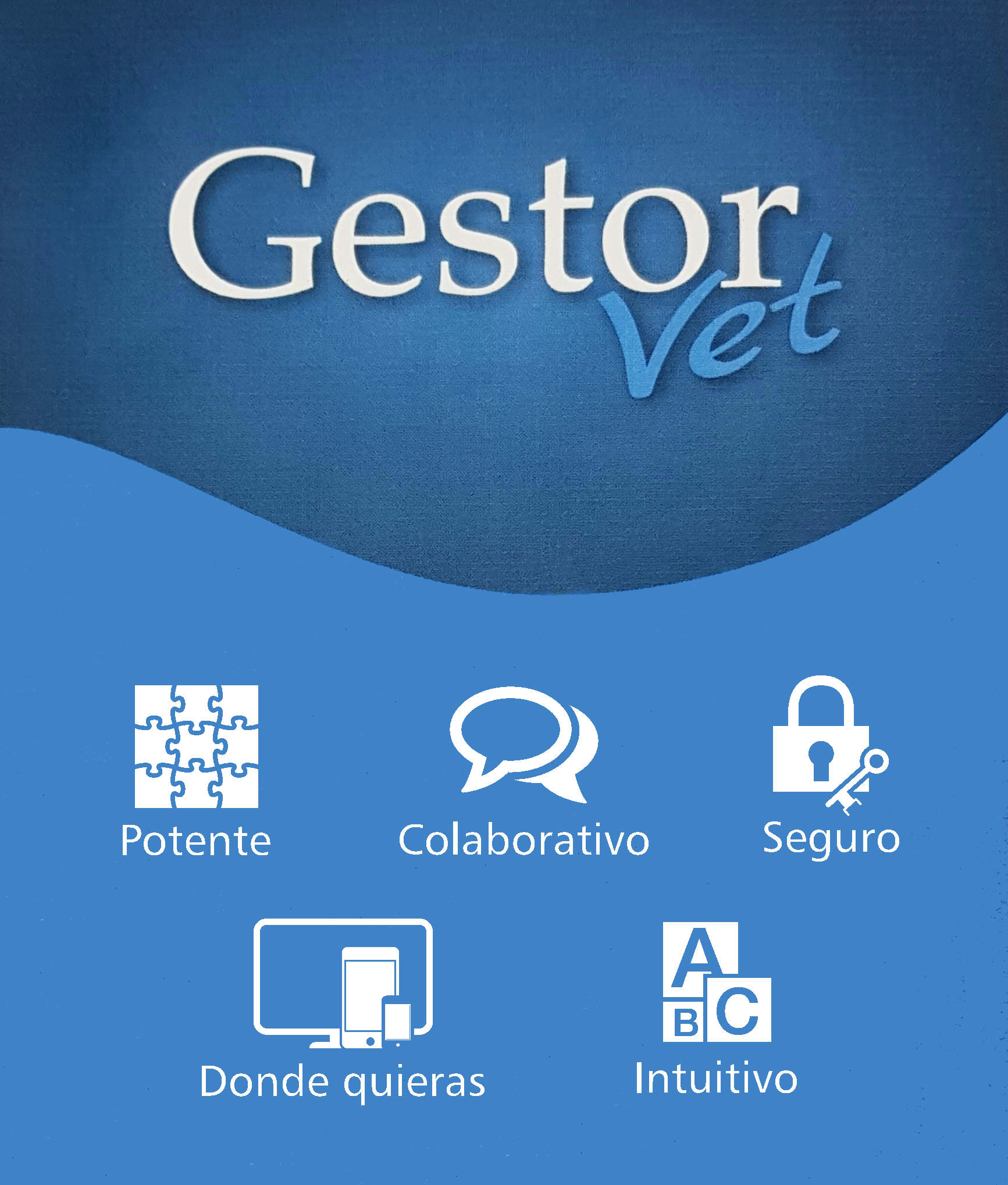 Licencia mensual GestorVet